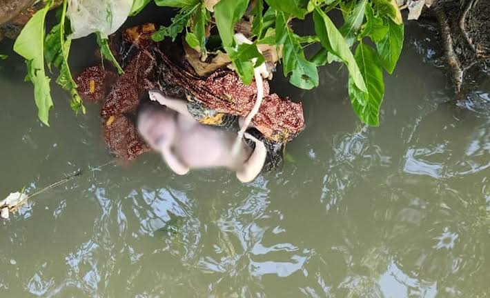 Warga Geger! Mayat Bayi Ditemukan di Bendungan Batujai